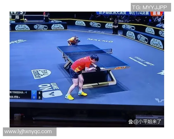 深入分析杭州乒乓球队的战术演变与转换打法的成功秘诀