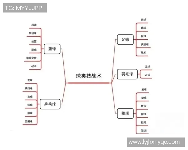 深圳篮球队战术解析：从进攻布局到防守策略的全面剖析