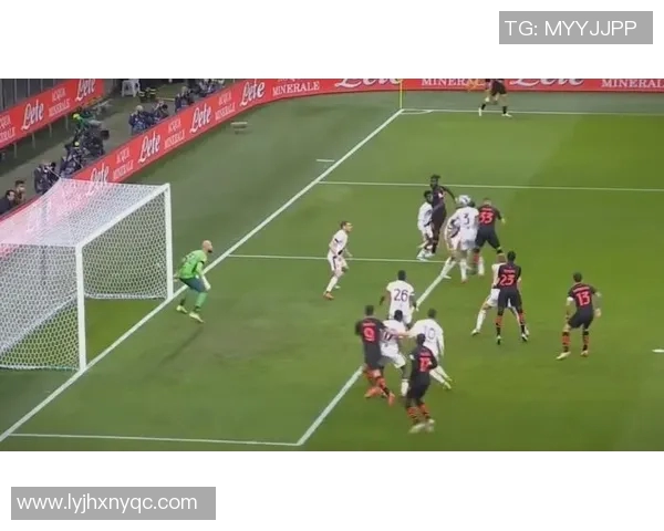 重庆排球队意识对比深度解析与战术思考的全面探讨